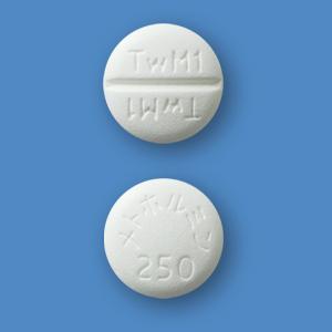 Metformin盐酸二甲双胍片250mgMT「東和」(2型):100片