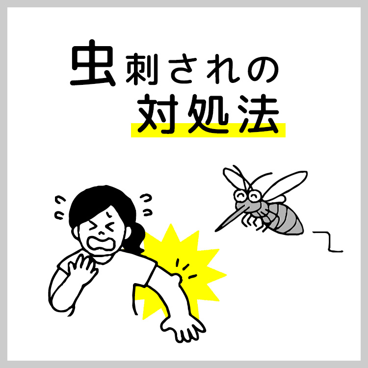 虫刺されの対処法 株式会社ナチュラルファーマシー ファミリー薬局