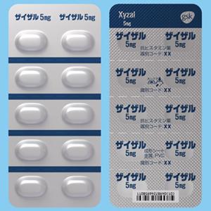 ザイザル錠5mg：20錠(10錠×2)｜薬の個人輸入 空詩堂
