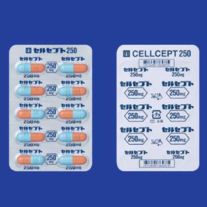 セルセプトカプセル250 10カプセル(10カプセル×1)｜薬の個人輸入 空詩堂