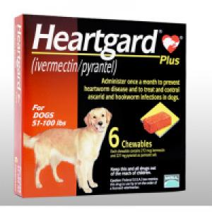 Heartgardplus 23kg 46kg用 6個 1箱 薬の個人輸入 空詩堂