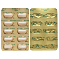 カナマイシンカプセル250mg「明治」 10カプセル×10シート