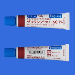 ゲンタシンクリーム0 1 10g 10個 Family Pharmacy Global