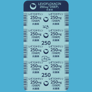 レボフロキサシン錠250mg「DSEP」 10錠×2シート｜Family Pharmacy Global