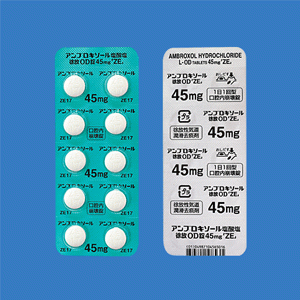 アンブロキソール塩酸塩徐放OD錠45mg「ZE」：20錠｜Family